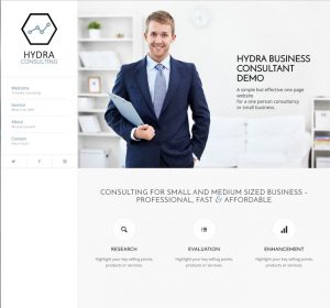 business consultant, consultancy website demo